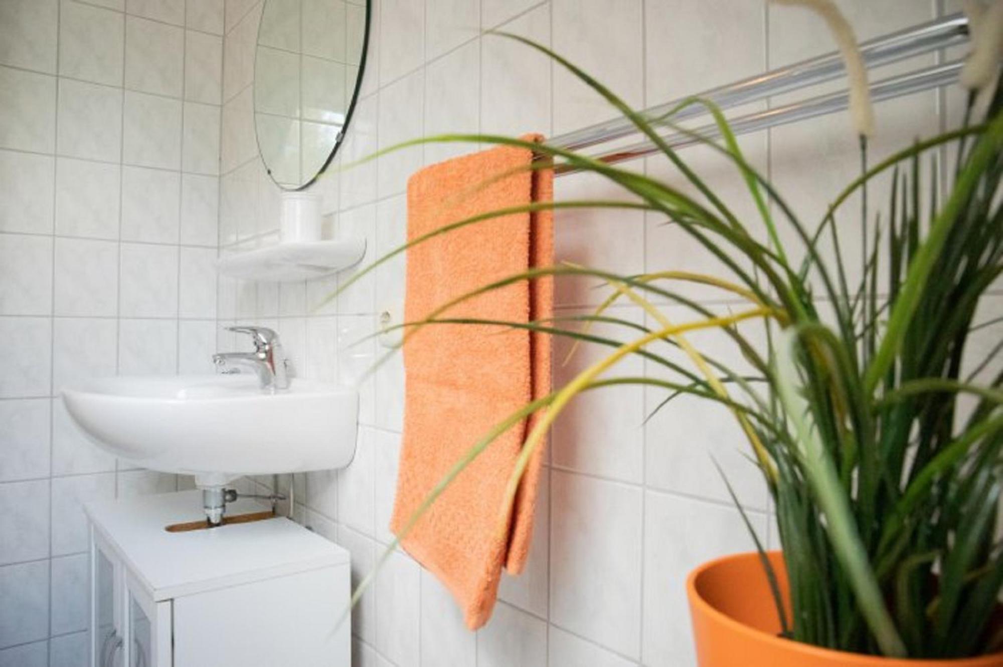 Reiterhof Ekenhoff Apartment Moorweg Екстериор снимка